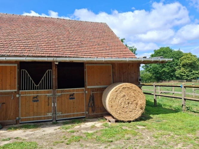 Photos 13 - Équestre - Propriété Corps de Ferme, Bâtisse d'habitation de caractère , nombreuses dependances dont Box, proche ALENCON, LE PERCHE, 2h00 PARIS