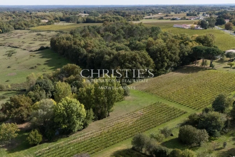 Photos 9 - Prestige - Propriété de charme composée d'un manoir, longère, salle de cinéma, grange, petit vignoble