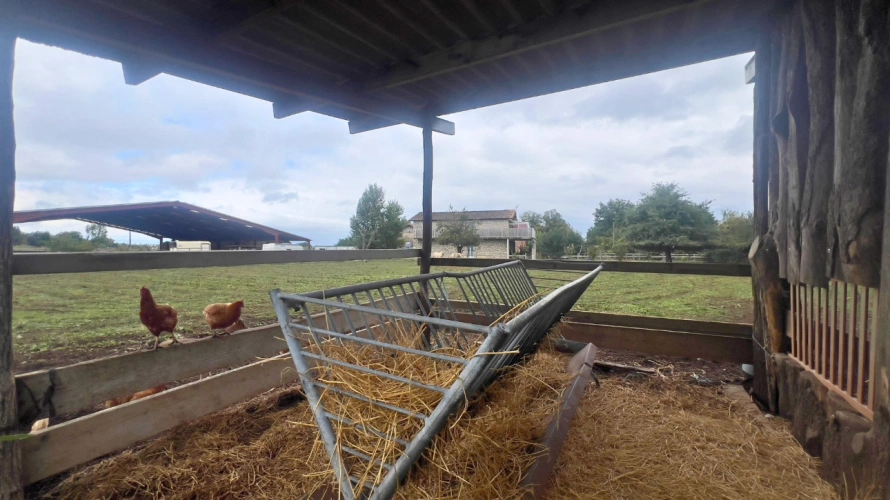 Photos 7 - Équestre - Vivez la passion équestre dans un cadre paisible et plein de potentiel : Tarn (81)