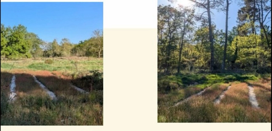 Photos 11 - Foncière - Terrain à vendre  ARGENTON (47)