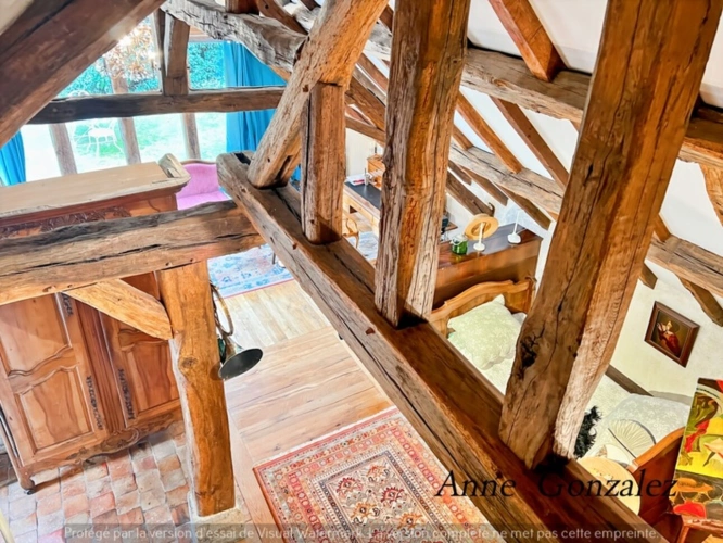 Photos 3 - Prestige - Propriete à vendre 9 pièces ARDON (45)