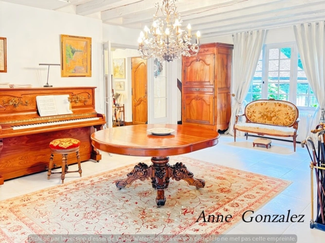 Photos 6 - Prestige - Propriete à vendre 9 pièces ARDON (45)