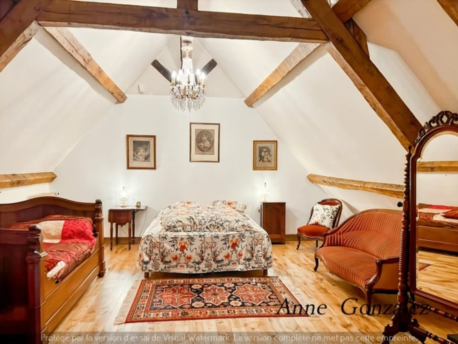 Photos 10 - Prestige - Propriete à vendre 9 pièces ARDON (45)