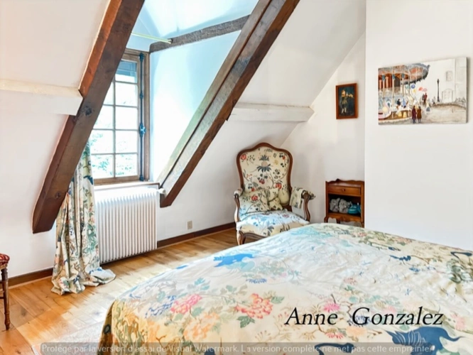 Photos 11 - Prestige - Propriete à vendre 9 pièces ARDON (45)
