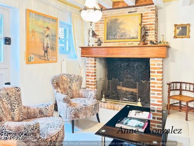 Photos 16 - Prestige - Propriete à vendre 9 pièces ARDON (45)