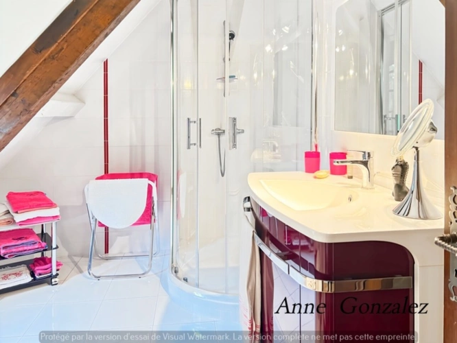 Photos 19 - Prestige - Propriete à vendre 9 pièces ARDON (45)