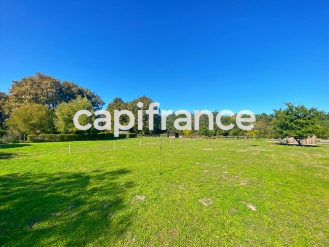 Photos 27 - Touristique - Propriete Gite et chambres d'hotes à vendre 10 pièces BRAUD ET SAINT LOUIS (33)