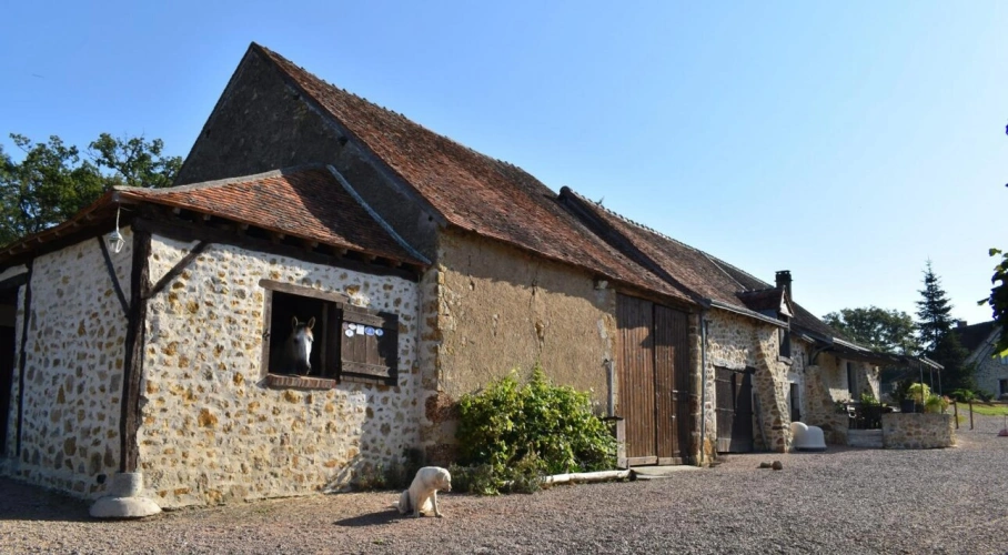 Photos 4 - Prestige - Propriété rurale et équestre avec élevage canin sur 3.7 hect