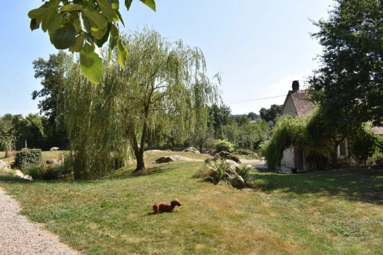 Photos 6 - Prestige - Propriété rurale et équestre avec élevage canin sur 3.7 hect