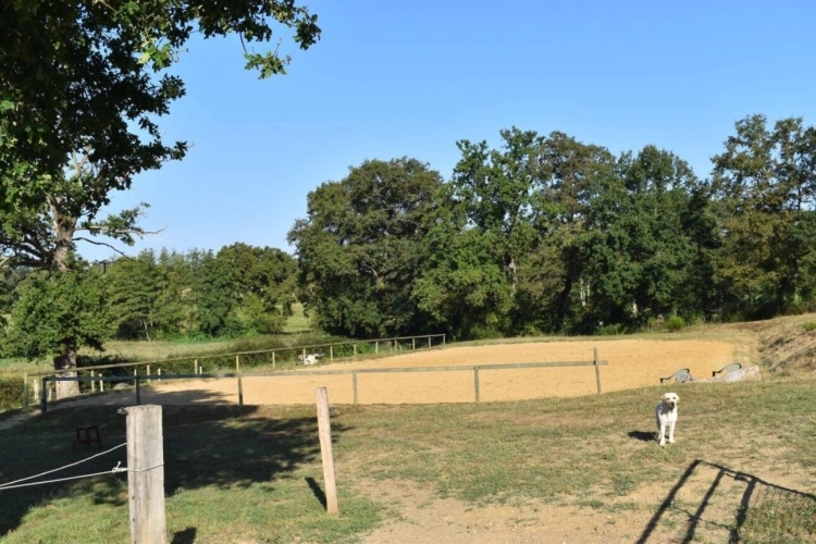 Photos 7 - Prestige - Propriété rurale et équestre avec élevage canin sur 3.7 hect