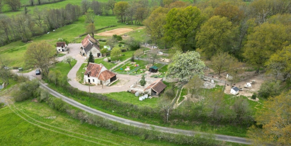 Photos 13 - Prestige - Propriété rurale et équestre avec élevage canin sur 3.7 hect