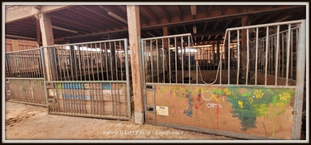 Photos 16 - Équestre - Site immobilier à vendre à PEXONNE (54)