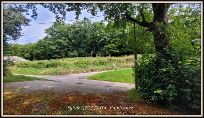 Photos 28 - Équestre - Site immobilier à vendre à PEXONNE (54)