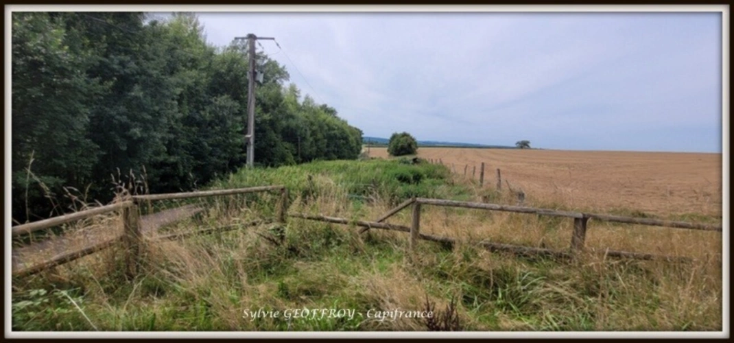 Photos 36 - Équestre - Site immobilier à vendre à PEXONNE (54)