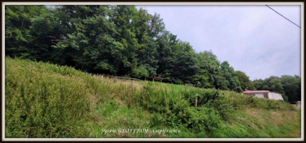 Photos 39 - Équestre - Site immobilier à vendre à PEXONNE (54)