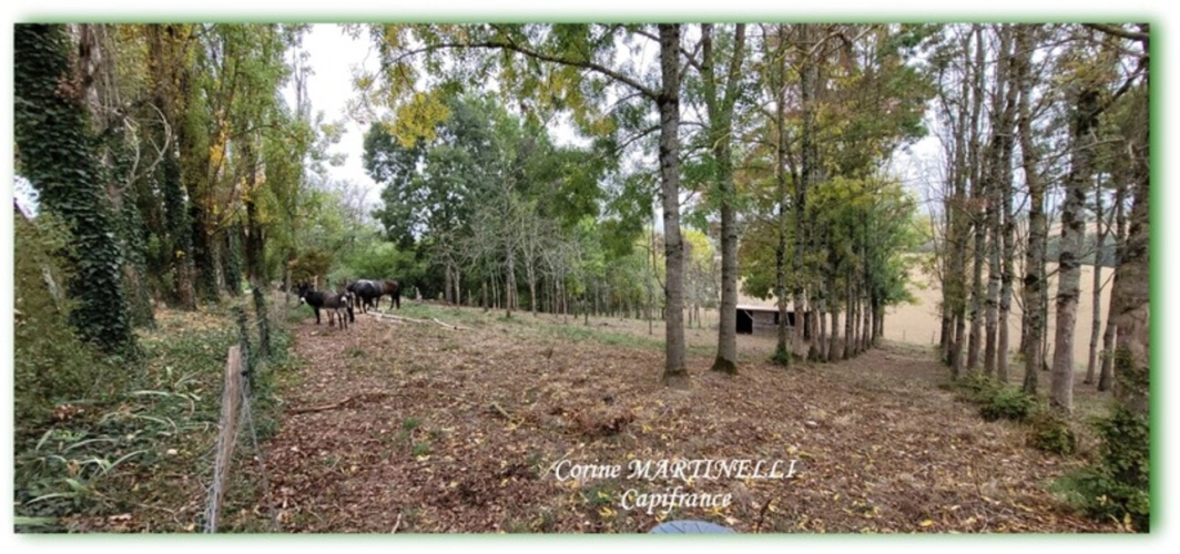 Photos 37 - Prestigious - For sale property with 4 dwellings, 885 m² + outbuildings, 27 ha