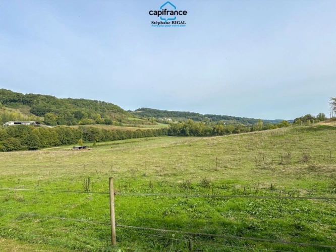 Photos 4 - Touristique - Propriete à vendre 12 pièces FOULAYRONNES (47) Maison de 315m2 + gîte sur terrain clos de 8,7ha