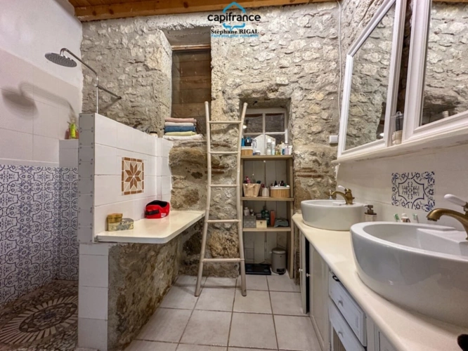 Photos 19 - Touristique - Propriete à vendre 12 pièces FOULAYRONNES (47) Maison de 315m2 + gîte sur terrain clos de 8,7ha