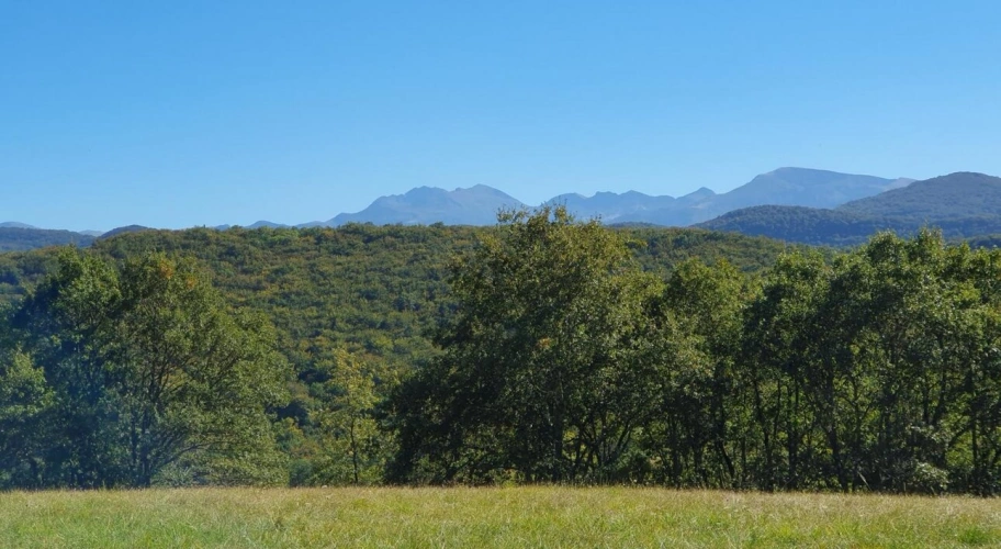 Photos 5 - Agricole - Domaine