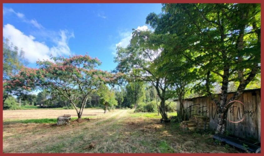 Photos 2 - Équestre - Propriété Equestre