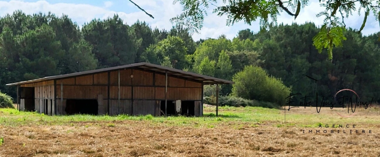 Photos 16 - Équestre - Propriété Equestre