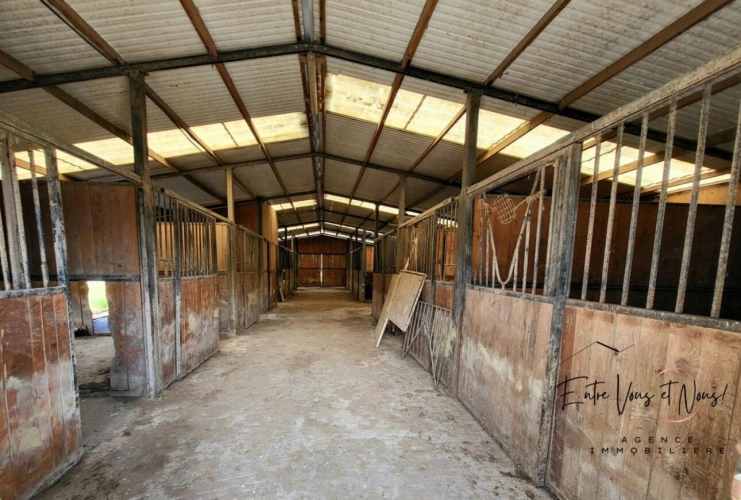 Photos 17 - Équestre - Propriété Equestre