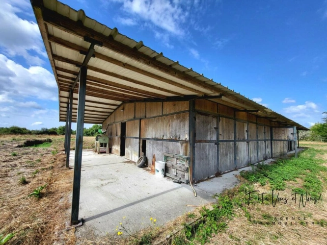Photos 18 - Équestre - Propriété Equestre