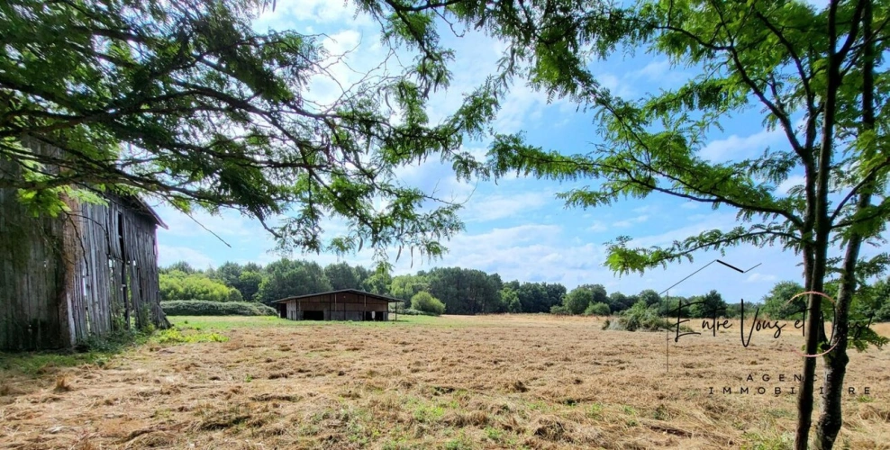 Photos 20 - Équestre - Propriété Equestre