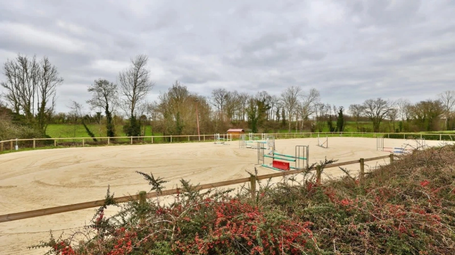 Photos 2 - Équestre - Charmante propriété équestre de 4ha (01)