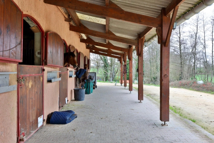 Photos 5 - Équestre - Charmante propriété équestre de 4ha (01)