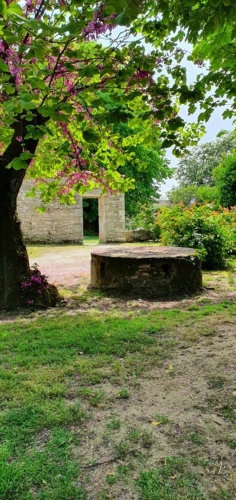 Photos 3 - Prestige - Propriete à vendre 12 pièces LONGEVILLE SUR MER (85)