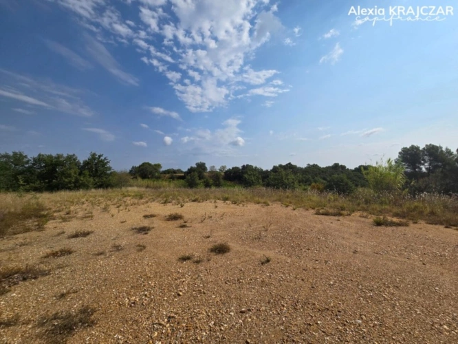 Photos 1 - Foncière - A VENDRE - Terrain Agricole, 4764m² - CORNEILHAN (34)