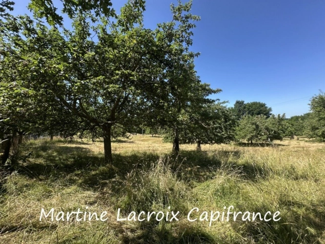 Photos 12 - Touristique - Dpt SARTHE (72), à vendre proche de LA FERTE BERNARD - PROPRIÉTÉ  P5 de 135 m² - PRAIRIES de 11 HECTARES