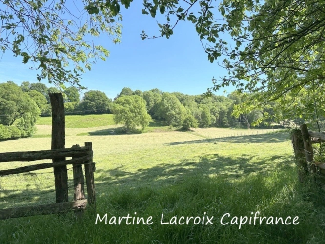 Photos 17 - Touristique - Dpt SARTHE (72), à vendre proche de LA FERTE BERNARD - PROPRIÉTÉ  P5 de 135 m² - PRAIRIES de 11 HECTARES