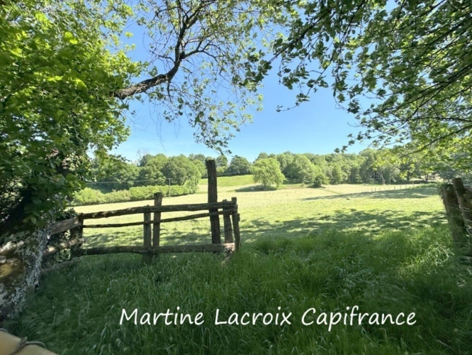 Photos 21 - Touristique - Dpt SARTHE (72), à vendre proche de LA FERTE BERNARD - PROPRIÉTÉ  P5 de 135 m² - PRAIRIES de 11 HECTARES