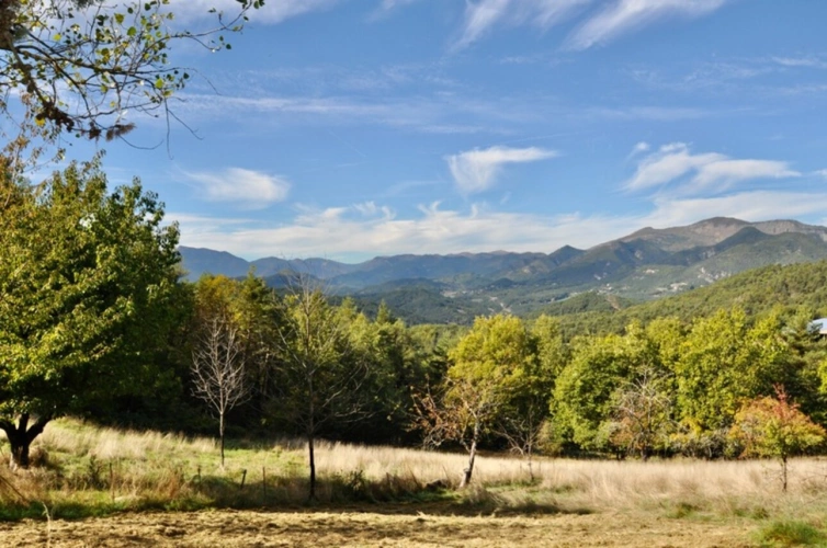 Photos 1 - Touristique - Dpt Alpes Maritimes (06), à vendre ASCROS Propriété en pierres 12 pièces 2 maisons 7,5 hectares Vue montagnes