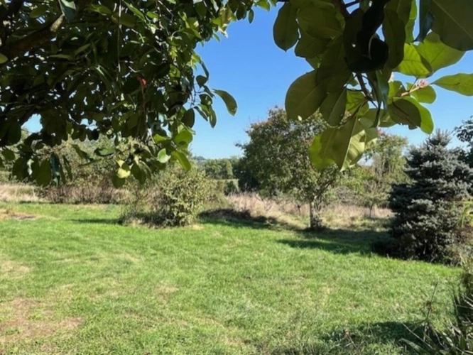 Photos 17 - Prestige - PLAISANCE DU GERS-MARCIAC, AUTHENTIQUE PROPRIETE RURALE 2 hecatares, sans voisin, sans vis à vis, un peu cachée et pourtant avec une jolie vue sur coteaux gascons