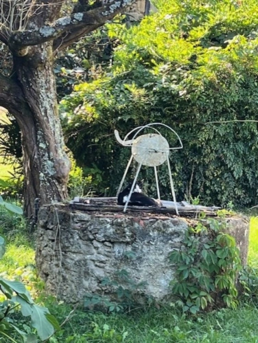 Photos 29 - Prestige - PLAISANCE DU GERS-MARCIAC, AUTHENTIQUE PROPRIETE RURALE 2 hecatares, sans voisin, sans vis à vis, un peu cachée et pourtant avec une jolie vue sur coteaux gascons
