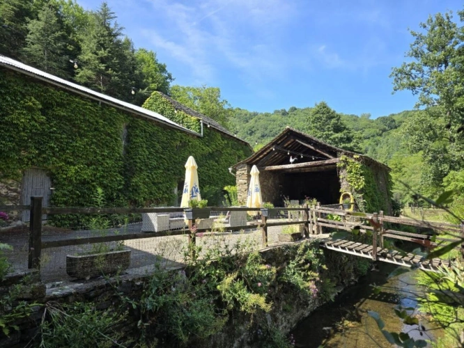 Photos 3 - Équestre - Moulin