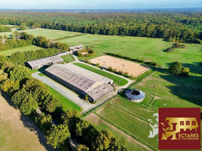 Photos 2 - Agricole - Propriété équestre Blain 10 pièce(s) 15 hectares