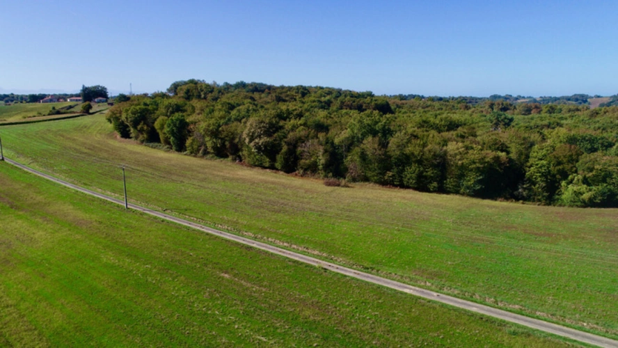 Photos 1 - Foncière - À VENDRE – Terres agricoles et parcelles boisées – 49 ha – Bassoues/Gers