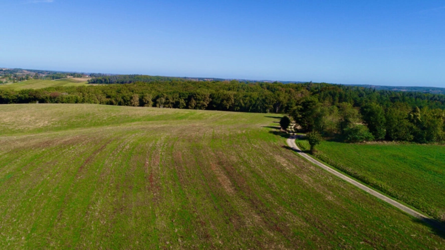 Photos 2 - Foncière - À VENDRE – Terres agricoles et parcelles boisées – 49 ha – Bassoues/Gers