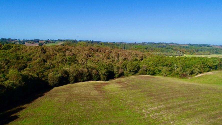 Photos 3 - Foncière - À VENDRE – Terres agricoles et parcelles boisées – 49 ha – Bassoues/Gers