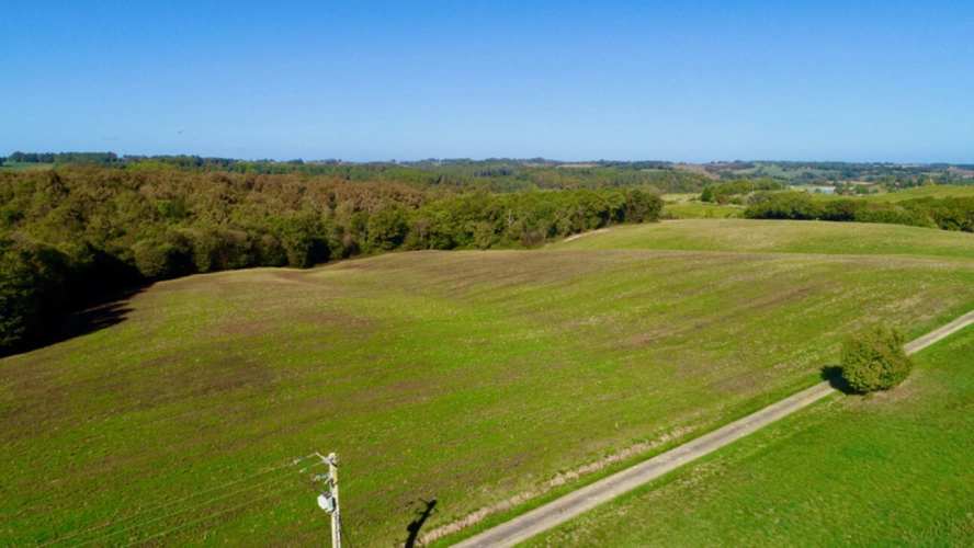 Photos 4 - Foncière - À VENDRE – Terres agricoles et parcelles boisées – 49 ha – Bassoues/Gers