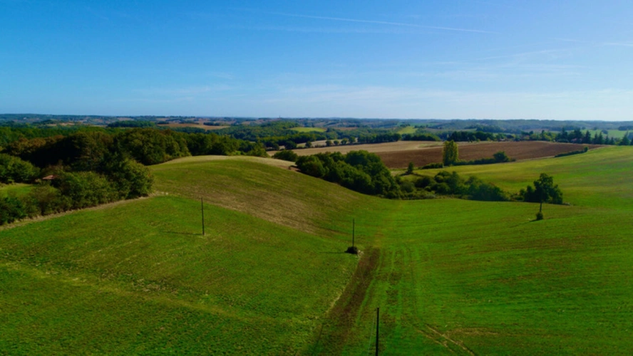 Photos 5 - Foncière - À VENDRE – Terres agricoles et parcelles boisées – 49 ha – Bassoues/Gers