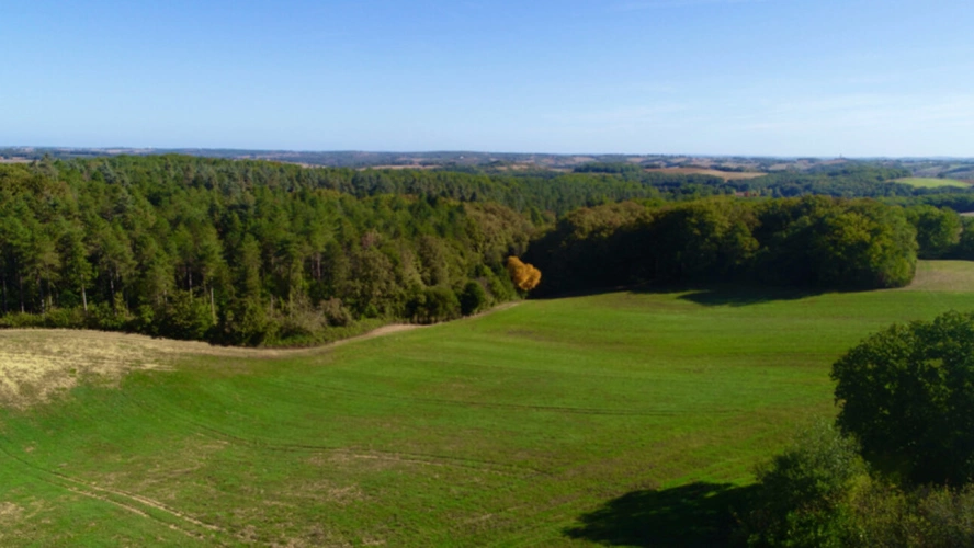 Photos 6 - Foncière - À VENDRE – Terres agricoles et parcelles boisées – 49 ha – Bassoues/Gers