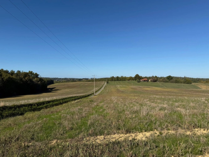 Photos 8 - Foncière - À VENDRE – Terres agricoles et parcelles boisées – 49 ha – Bassoues/Gers