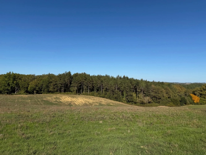 Photos 9 - Foncière - À VENDRE – Terres agricoles et parcelles boisées – 49 ha – Bassoues/Gers
