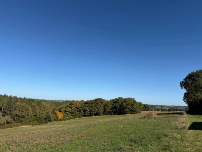 Photos 12 - Foncière - À VENDRE – Terres agricoles et parcelles boisées – 49 ha – Bassoues/Gers