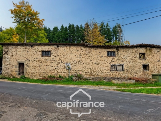 Photos 2 - Touristique - Grange de plus de 135 m² à vendre CELLES SUR DUROLLE (63)
